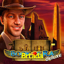 App Brtada  